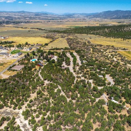 aerial view of park and surrounding area